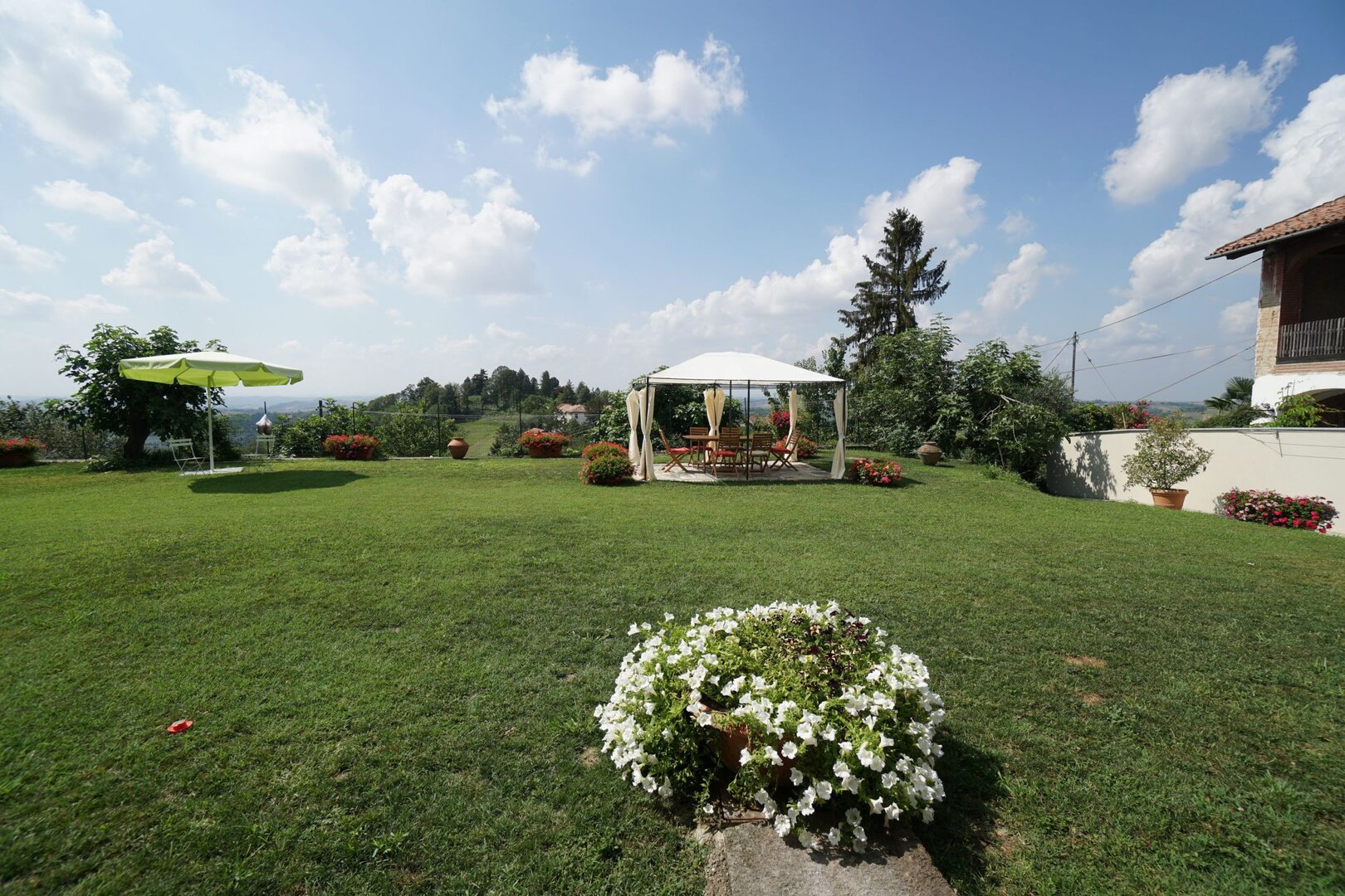 Il Pianeta Anziani 1