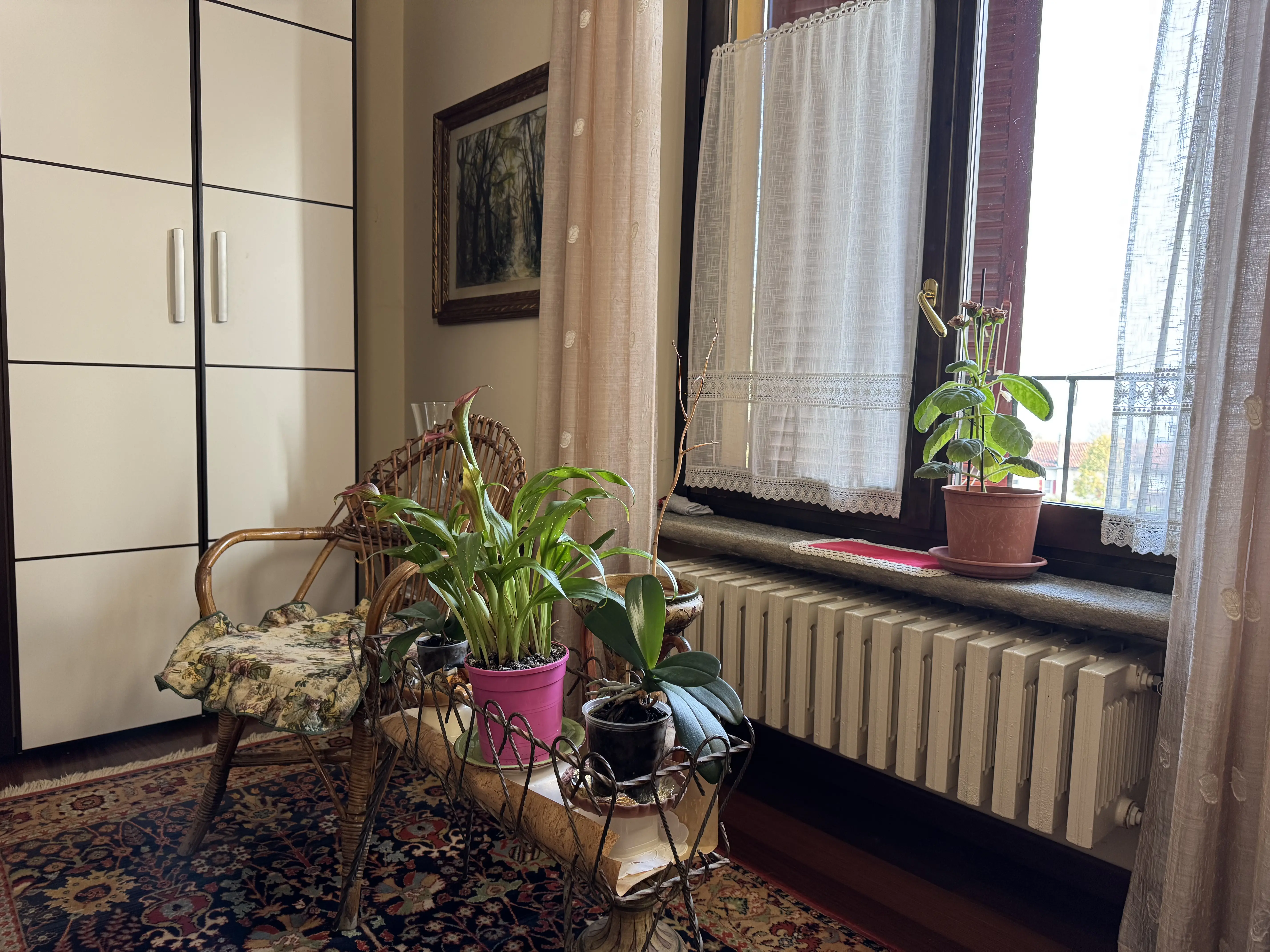 Strutture per anziani - Case Famiglia RAA, C.A.S.A., Comunità anziani 1